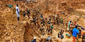 Experts Begin Probe Into Deaths of 37 Miners in Niger State