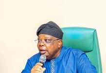 I Was Asked To Slow Down – Power Minister Reveals Nigerians’ Response To Improved Electricity
