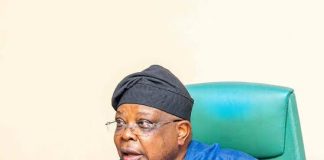 I Was Asked To Slow Down – Power Minister Reveals Nigerians’ Response To Improved Electricity