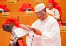 Senate Leader Calls for Greater Gender Inclusion