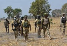 Troops Close In on Terrorist Network as Suspected Commanders Are Captured in Katsina
