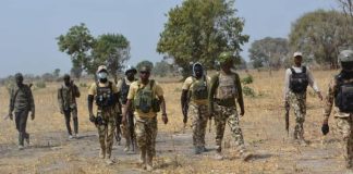 Troops Close In on Terrorist Network as Suspected Commanders Are Captured in Katsina