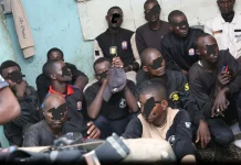 Bauchi by-election: Police arrest 47 suspected fake security operatives at polling units