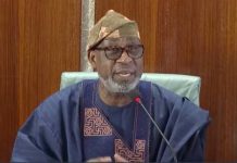Minister Urges OAU To Commercialise Mineral Assets