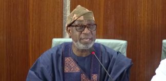 Minister Urges OAU To Commercialise Mineral Assets