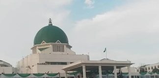 National Assembly Halts Official Visits To South Africa