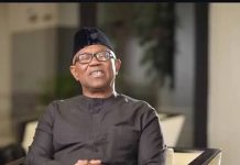 Washington Meeting: NDC Rep Candidate, Diasporans Meet Peter Obi, Demand Credible Polls