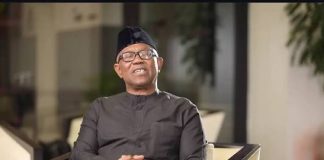 Washington Meeting: NDC Rep Candidate, Diasporans Meet Peter Obi, Demand Credible Polls