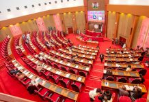 Ondo Aircraft Crash: Senate Demands Comprehensive NAF Fleet Audit