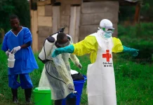 FG Tightens Ebola Prevention Measures, Orders Strict Screening at Entry Points
