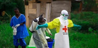 FG Tightens Ebola Prevention Measures, Orders Strict Screening at Entry Points