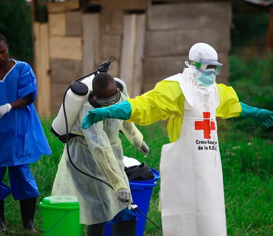 FG Tightens Ebola Prevention Measures, Orders Strict Screening at Entry Points