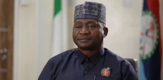 Nigeria’s Defence Minister Reports Progress in Fight Against Insecurity