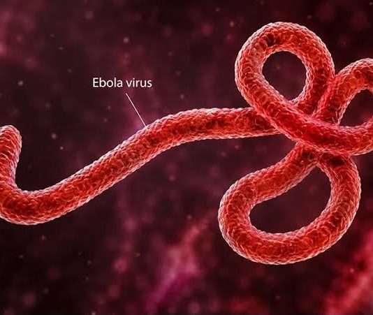 Ebola Alert: Federal Government Identifies 44 Contacts in FCT