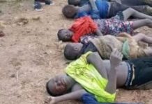 Taraba Attack: 30 Feared Dead After Bandits Storm Community