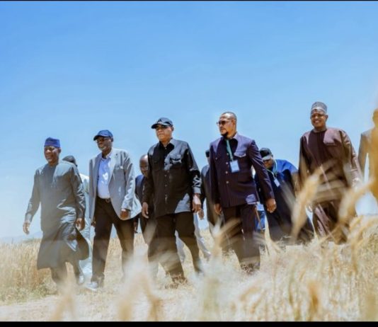 Nigeria to Leverage Ethiopia’s Agricultural Success for Food Security