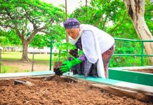 World Food Day: Remi Tinubu urges innovation, support for farmers to tackle food insecurity