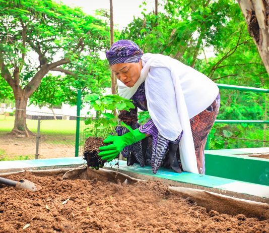 World Food Day: Remi Tinubu urges innovation, support for farmers to tackle food insecurity