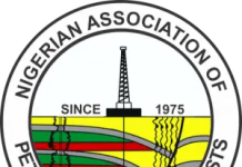 Tinubu’s Energy Project Acceleration Order Draws Criticism From Oil Association