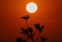 Nigeria Faces Extreme Heat Risk Over Next Six Months as Report Projects 31,400 Deaths