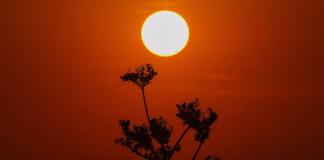 Nigeria Faces Extreme Heat Risk Over Next Six Months as Report Projects 31,400 Deaths