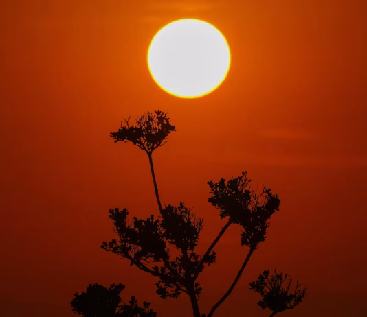 Nigeria Faces Extreme Heat Risk Over Next Six Months as Report Projects 31,400 Deaths