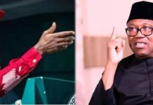 2027: Anambra Government Faces Political Pressure Over Peter Obi’s Popularity – NDC