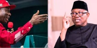 2027: Anambra Government Faces Political Pressure Over Peter Obi’s Popularity – NDC
